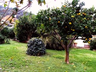 CirceoMARE - San Felice Circeo - 9