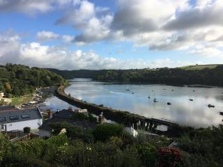 River View - Golant - Golant - 6