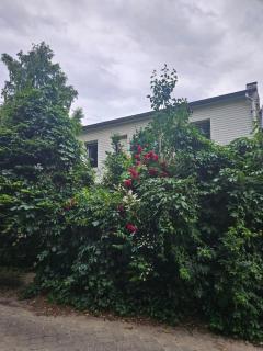 Apartament Ewa Gdynia Orłowo - Gdynia - 0
