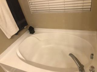 4BR Home close to DUKE & RDU - Durham - 3