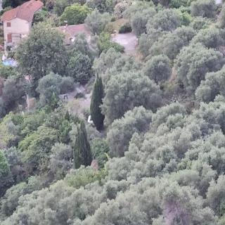 Le Jas - 6