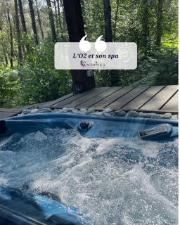 L'O2 et son Spa, cabane de verre et de bois - Origne - 5
