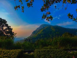 Ella Happy View Homestay - Ella - 9