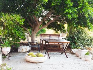 House in Porfyrousa organic farm - Avlemonas - 9