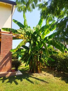 Wilma House - Venice - 9