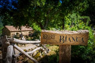 Bergerie BIANCA - La Pause Chisa - Chisa - 4