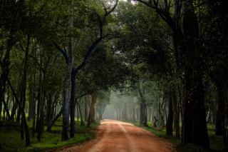 Wilpattu Forest Buma Lodge - Wilpattu - 9