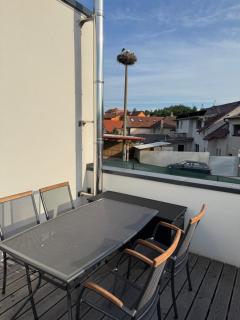Apartmán Nerudova Terasa - Polná - 7