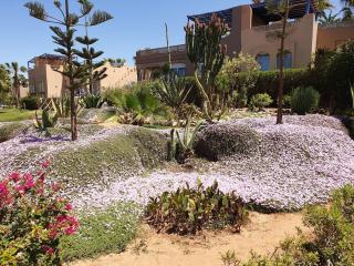 Villa bord de mer, piscine, fibre internet, Sidi Boulfdail, Mirleft - Mirleft - 6