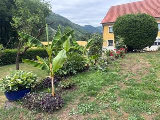 Gästehaus zum Alpenjäger - - 6