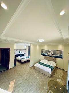 Vista Mansion - New cairo - 5