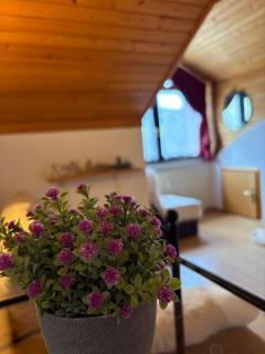 Alpine Sun apartment - Kranjska Gora - 8