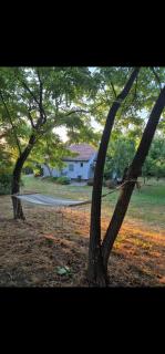 Avalon Mali Stapar - - 7