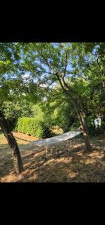 Avalon Mali Stapar - - 1
