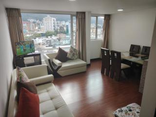 La Carolina Sector Apartment - Quito - 1