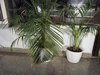 Sleek City Retreat with Kitchen l Near Airport - Neu-Delhi - 6