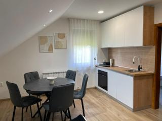 Studio apartman SALOPEK 2 - Ogulin - 3
