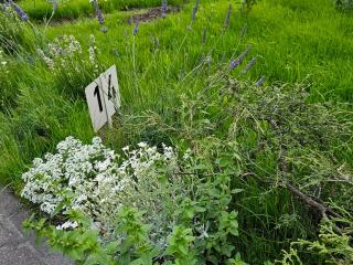 Magical places Unter den Linden - Reszel - 2