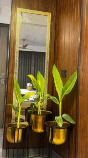 Supernova suite - New Delhi - 1