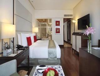 Hotel EDEN CLIFF Unit OF Gross Group Near DELHI AIRPORT - New Delhi - 0