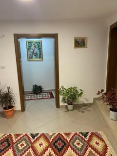 Guest House Zverku - Gjirokastër - 3