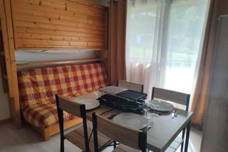 Apt at the foot of slopes 3 - La Clusaz - 9
