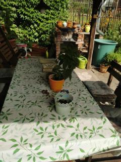 Apartmán BBB1 - Děčín - 1