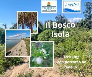 Oasi Legno di Mare Home -A 600 m dalla spiaggia tra Parco del Gargano e Laguna di Lesina - 2