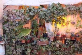 Casa Violeta - Atalbéitar - 9
