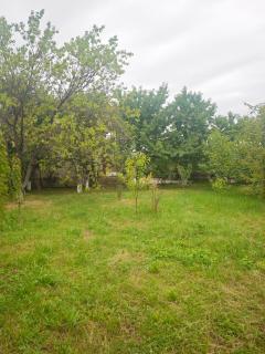 Guba garden house near lake & forest - Quba - 6