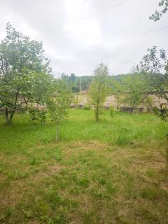 Guba garden house near lake & forest - Quba - 7