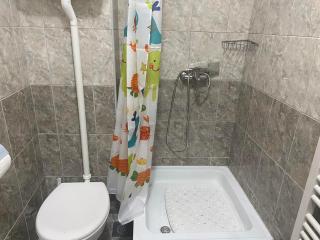 Detelina New - Novi Sad - 2