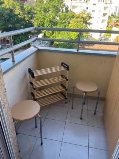Detelina New - Novi Sad - 1