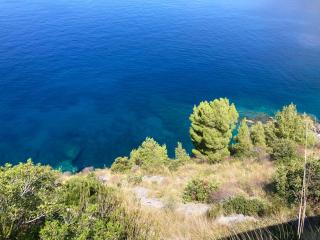 Affittacamere L’ Agrumeto - Maratea - 6
