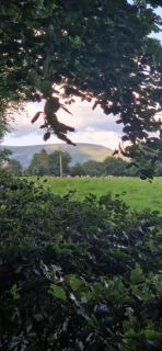 Farm House Cottage - Baltinglass - 5
