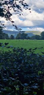 Farm House Cottage - Baltinglass - 6