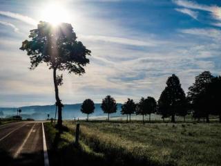 Chalet in Reinskopf with Fireplace and Balcony - 3