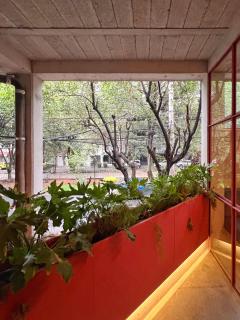 Xolo Condesa - Città del Messico - 8