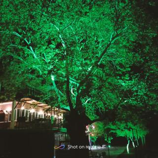 Ahsen pansiyon - Selçuk - 2