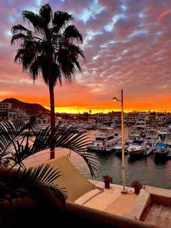 Marina Cabo Plaza - Cabo San Lucas - 0