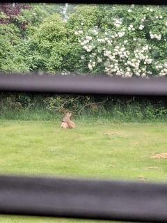 KRAGKAER Deer-Lodge B&B & Guest House - Unique Holiday Homes - 8