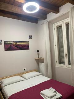 La finestra sul Duomo di Pavia - Pavia - 8