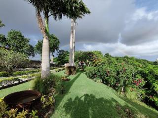 Private Studio in Gated Estate - Belmont - 9
