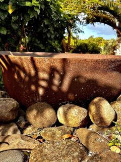 Private Studio in Gated Estate - Belmont - 8