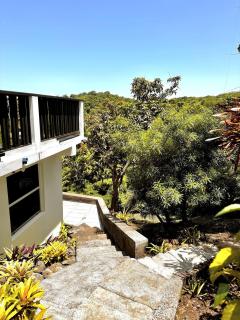 Private Studio in Gated Estate - Belmont - 7