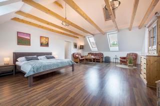Hotel Pavlov - 7