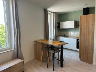 Studio indépendant climatisé à Lyon 8 - Lione - 2