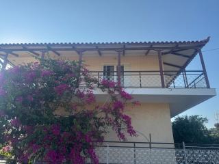 Bougainvillea - Zacharo - 4