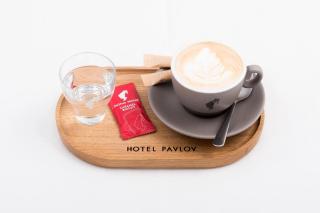Hotel Pavlov - 2