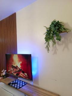 Secure 1 bedroom juja - 1